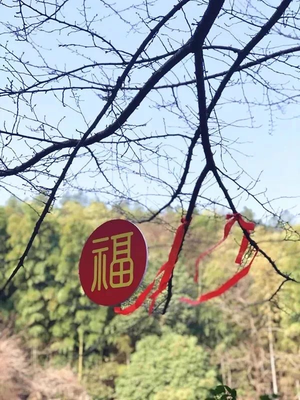 热闹春节行：春节在穹窿山留下的温暖回忆……