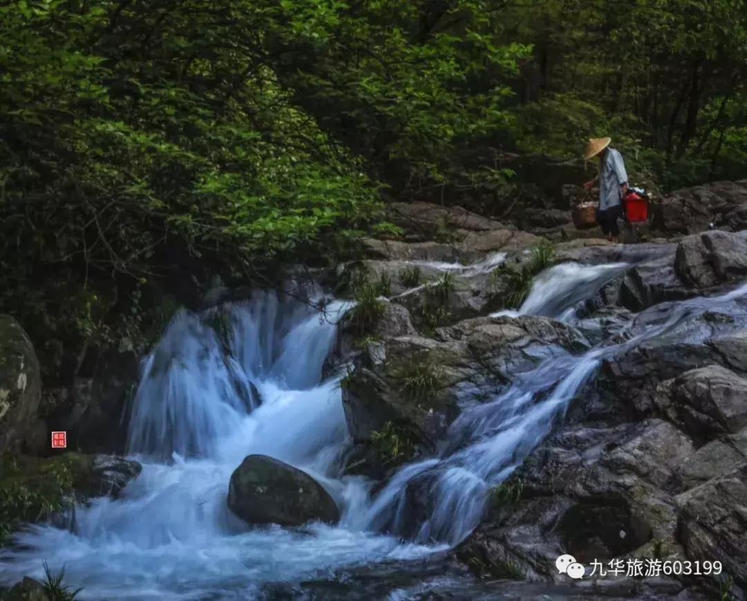 2022年九华山风景区65岁以上免票吗,九华山免票安徽