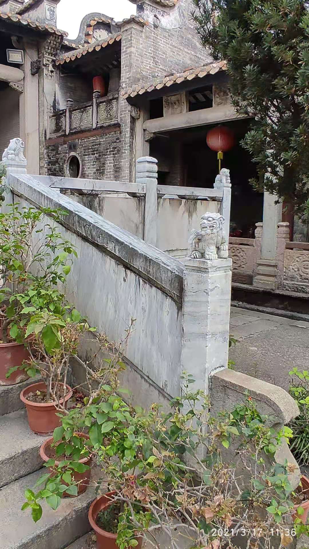 走访“平地黄”，睇大宗祠“花堂”