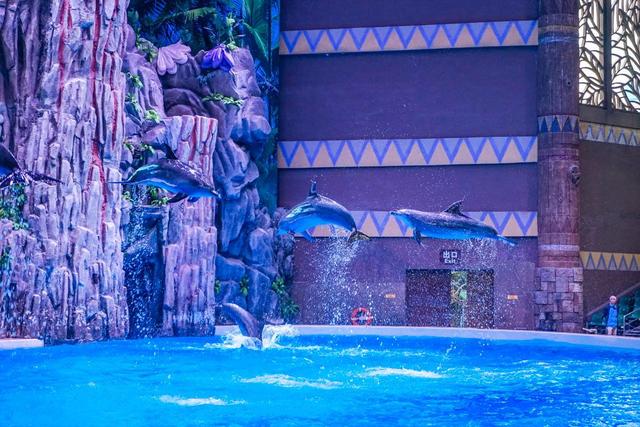 广东长隆乐园,广东珠海长隆乐园介绍