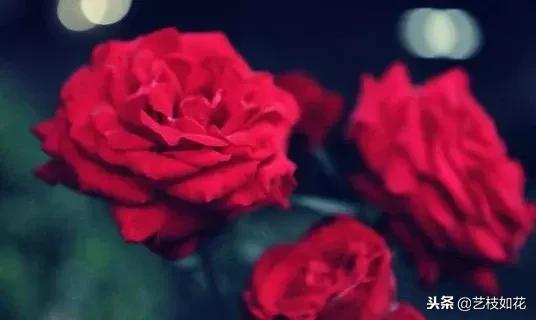 流年无恙谁许过,流年无恙岁月静好