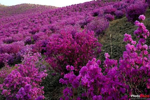 春夏之交讲“谷雨”