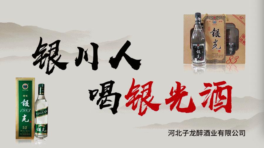 宁夏银川市兴庆区足球联赛,宁夏丝绸之路邀请赛