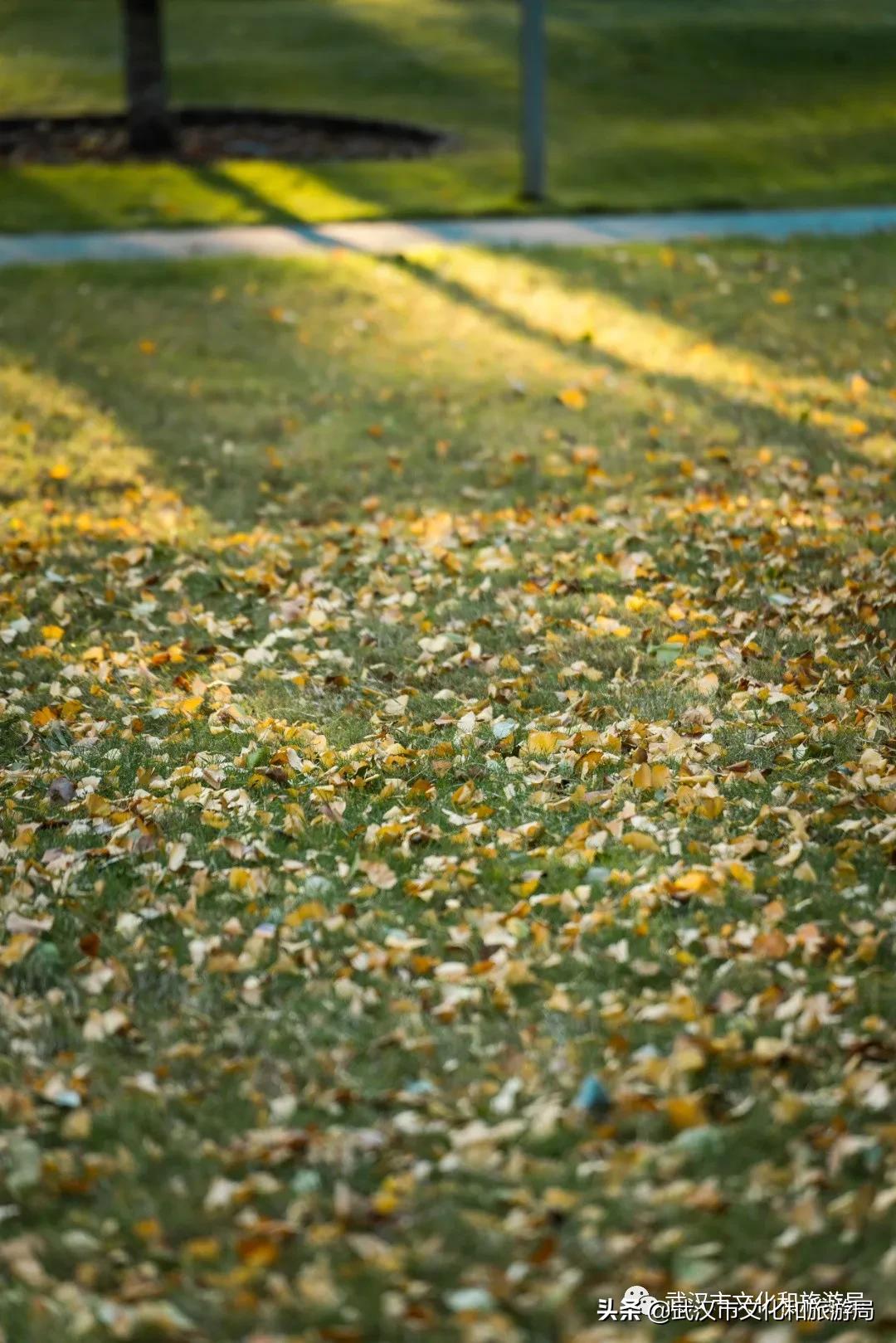 五一武汉小众宝藏旅行地,武汉有哪些宝藏打卡地点