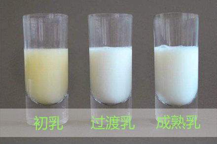 正常母乳是什么颜色？不同颜色的母乳代表什么？