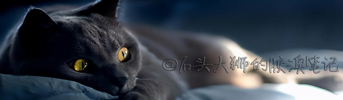 玉虚金仙住哪个地方,玉虚金仙住在哪里