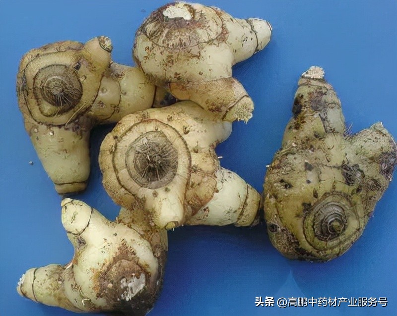 高鹏说药材：白及种植是真致富还是*局骗**呢？