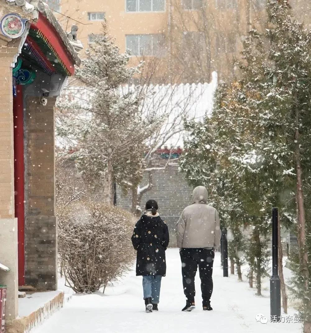 冬已至雪花飘,通辽玩雪
