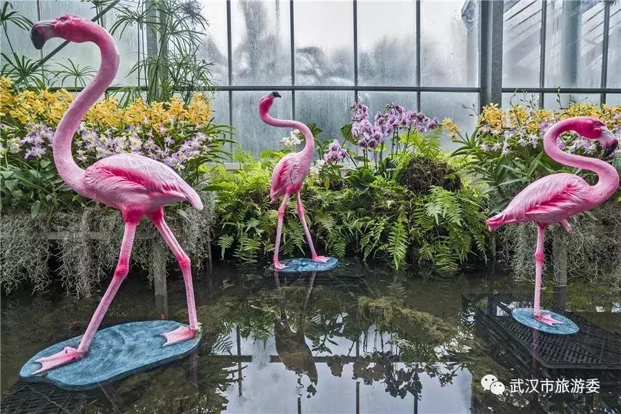 三月赏雨赏花,三月适合去哪儿看花