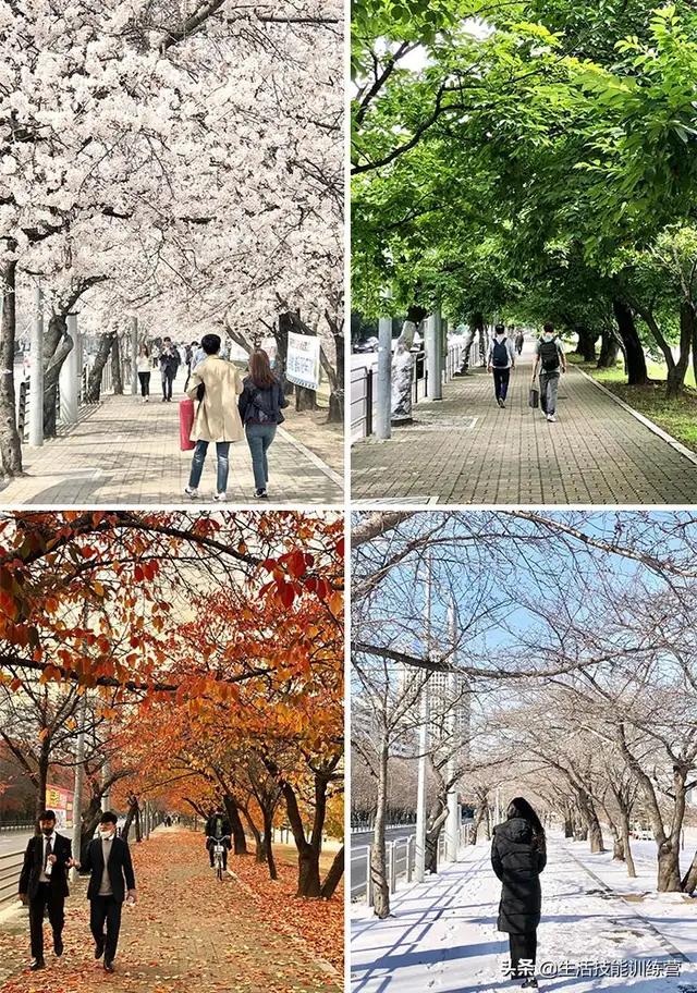 49张照片告诉你韩国与众不同,50张照片让你了解韩国