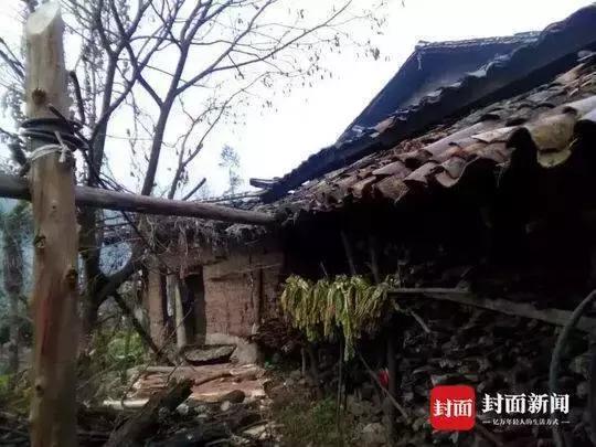 四川人的美好回忆,四川人的共同记忆