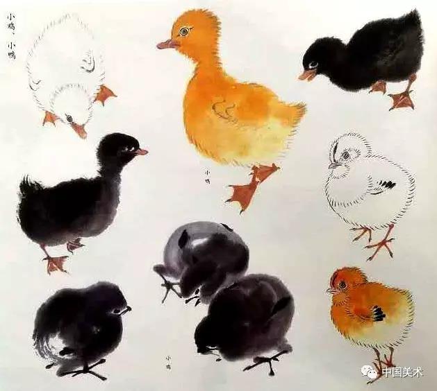 禽鸟画教程,最简单的禽鸟画法