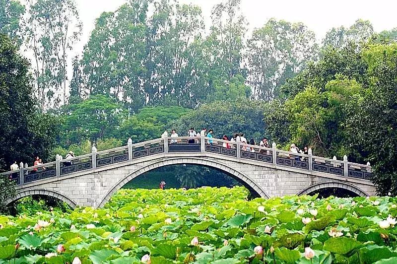 深圳建市四十周年,深圳市建市40周年从什么时候开始