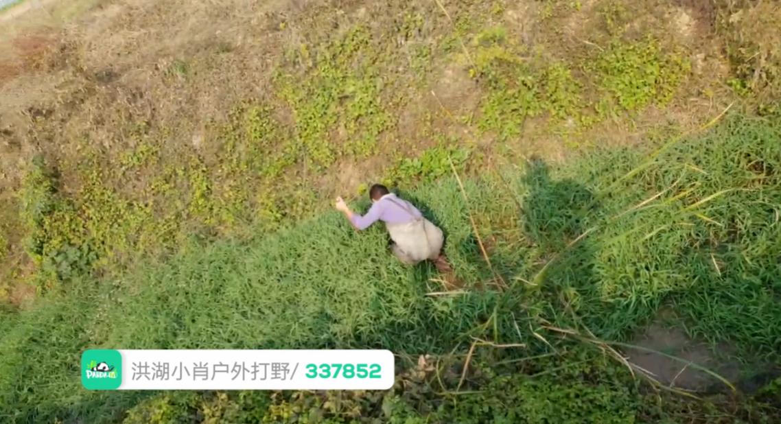 河南熊猫直播女主播排名,熊猫十大户外主播排行榜