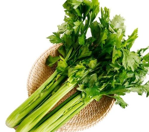 治愈痛风降尿酸最好的中药调理,痛风缓解期降尿酸中药处方