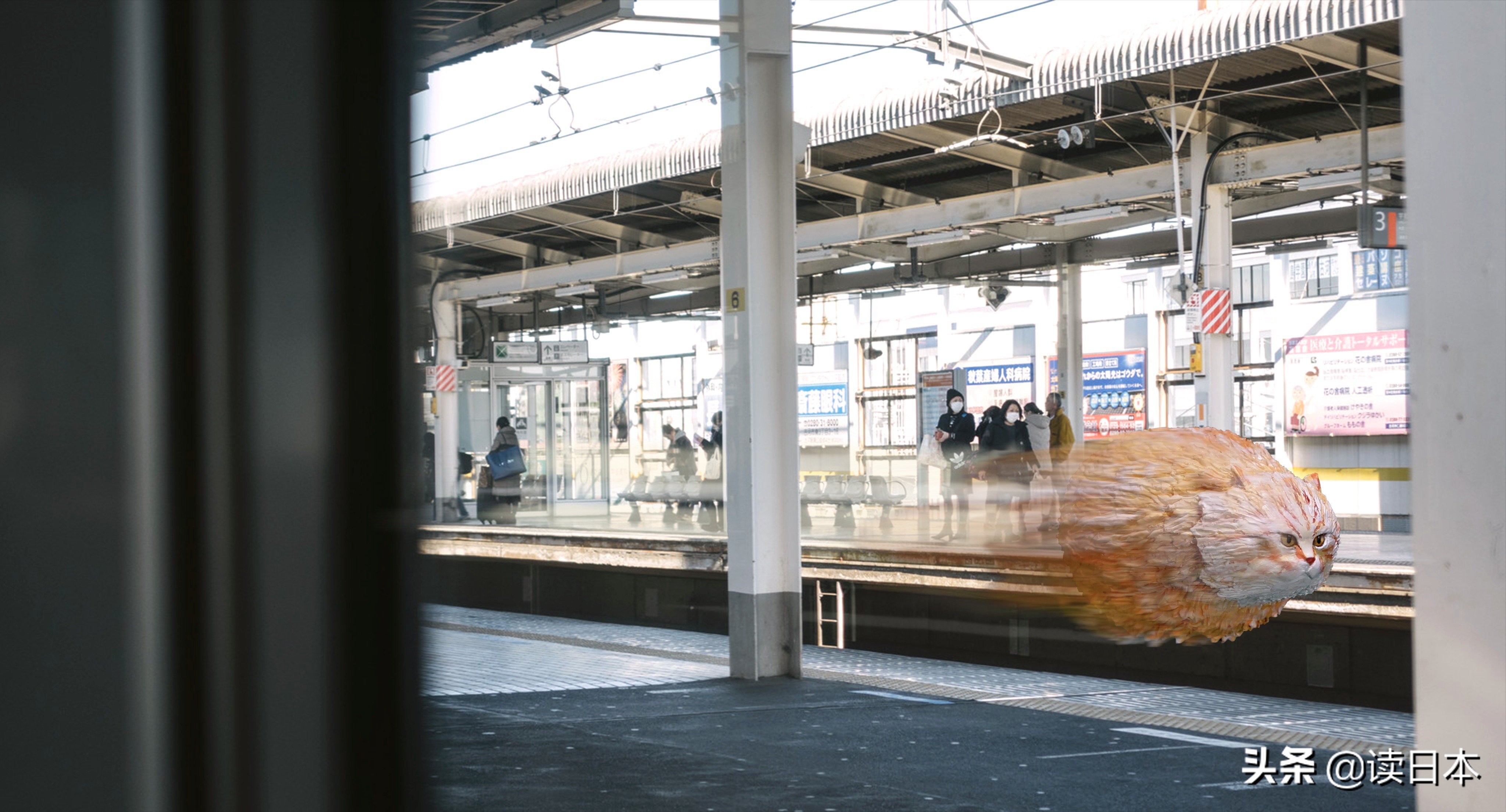 沙雕手办日本小哥,日本沙雕手办小哥哥