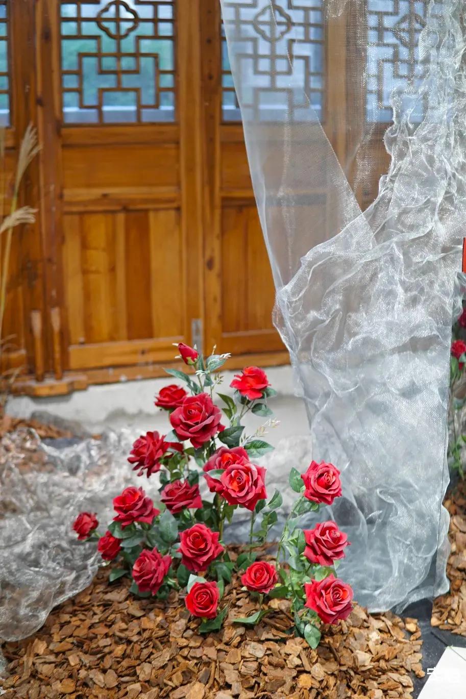 深圳周末打卡地点排行榜,深圳秋季打卡攻略