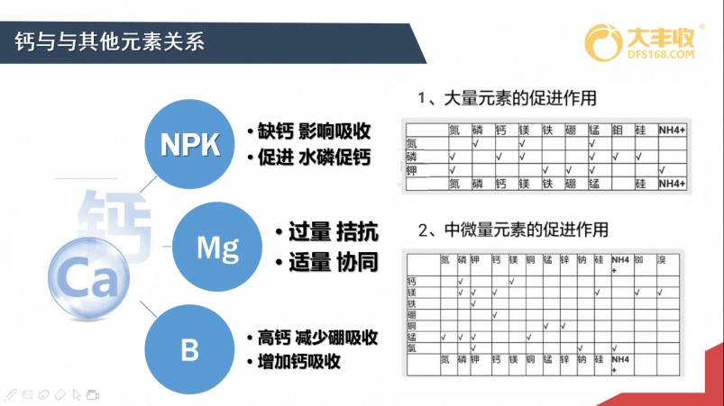 补钙施什么钙肥好,补了钙还缺钙