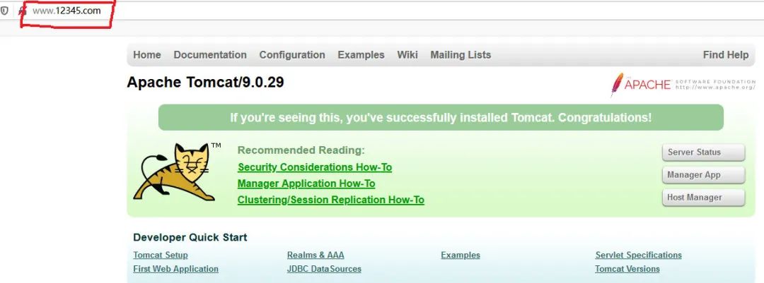 互联网服务器nginx,nginx双料架构师必备