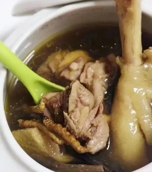 冬虫夏草炖鸡汤放什么材料最好呢,冬虫夏草的最佳吃法虫草炖鸡