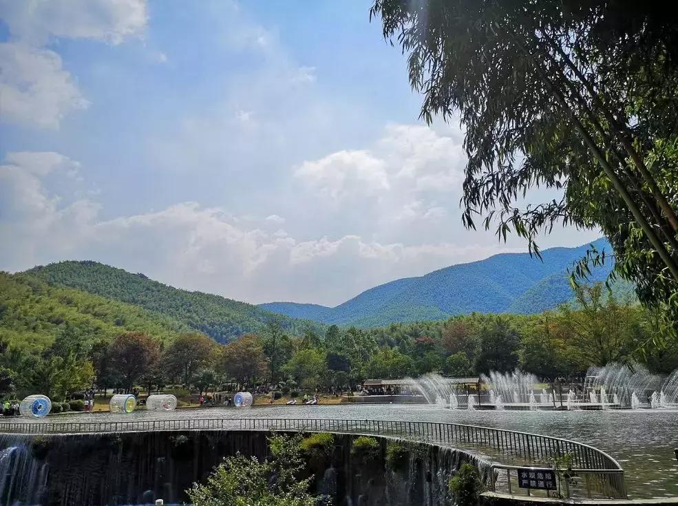 每逢节后胖三斤？是时候来宜兴竹海吸氧遛弯了！