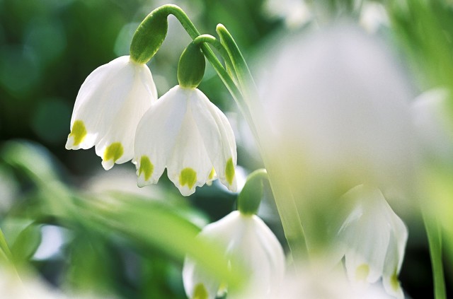 浠佺埍涓冨勾绾т笂鍐岃嫳璇璾nit2topic1,鑻辫浠佺埍涓冨勾绾т笂鍐寀nit2topic1