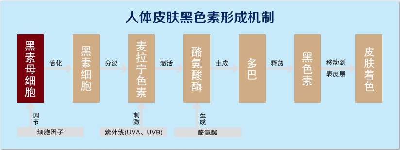 olay玉兰油哪款最好用,妈妈用olay玉兰油大红瓶面霜