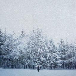 六月飞雪真的是为窦娥下的吗