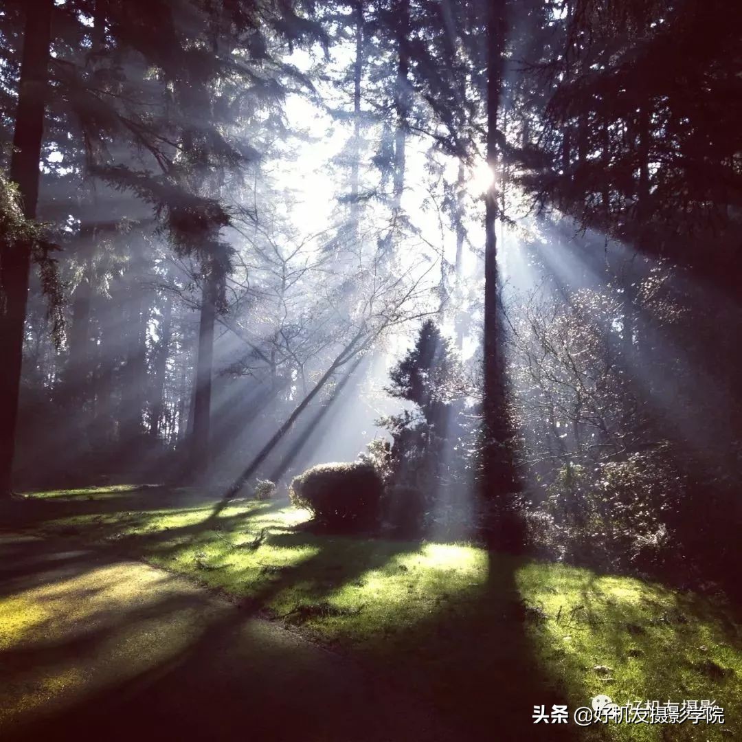 富士镜头评测15-45,富士最好用的镜头是哪一款