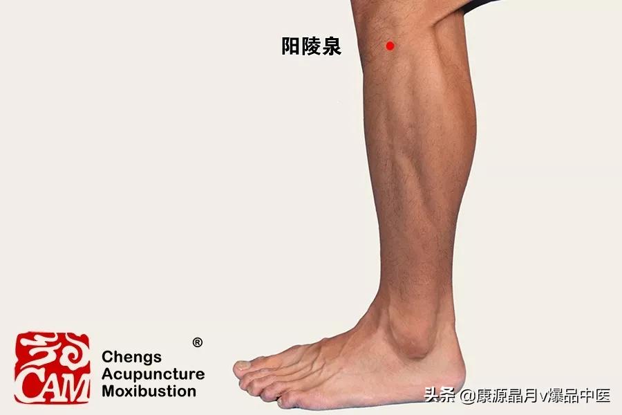 八总穴和八会穴有哪些,八会穴和八脉交会穴有什么区别