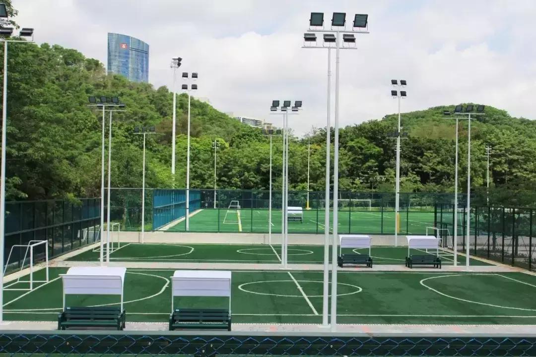 春日赏花深圳,深圳春游赏花