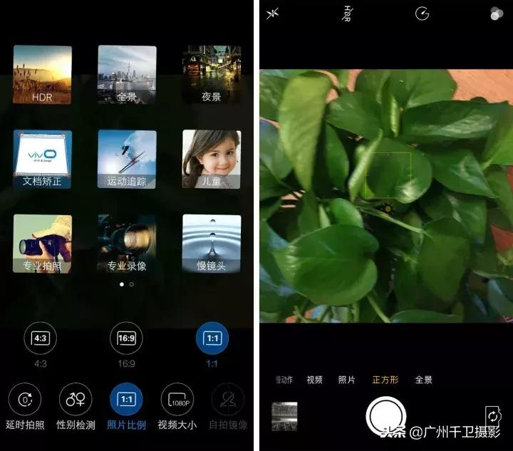 摄影必学的9种构图方法,摄影萌新必学12个构图技巧