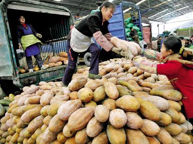 水果批发怎样找产地货源,想做水果批发怎么找市场