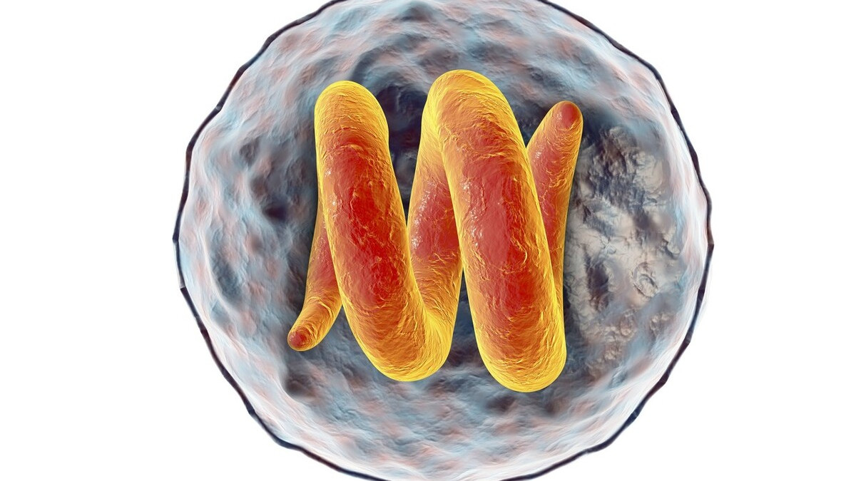 晚上睡觉磨牙是肚子里有蛔虫症状,睡觉总是磨牙是肚子里面有蛔虫吗