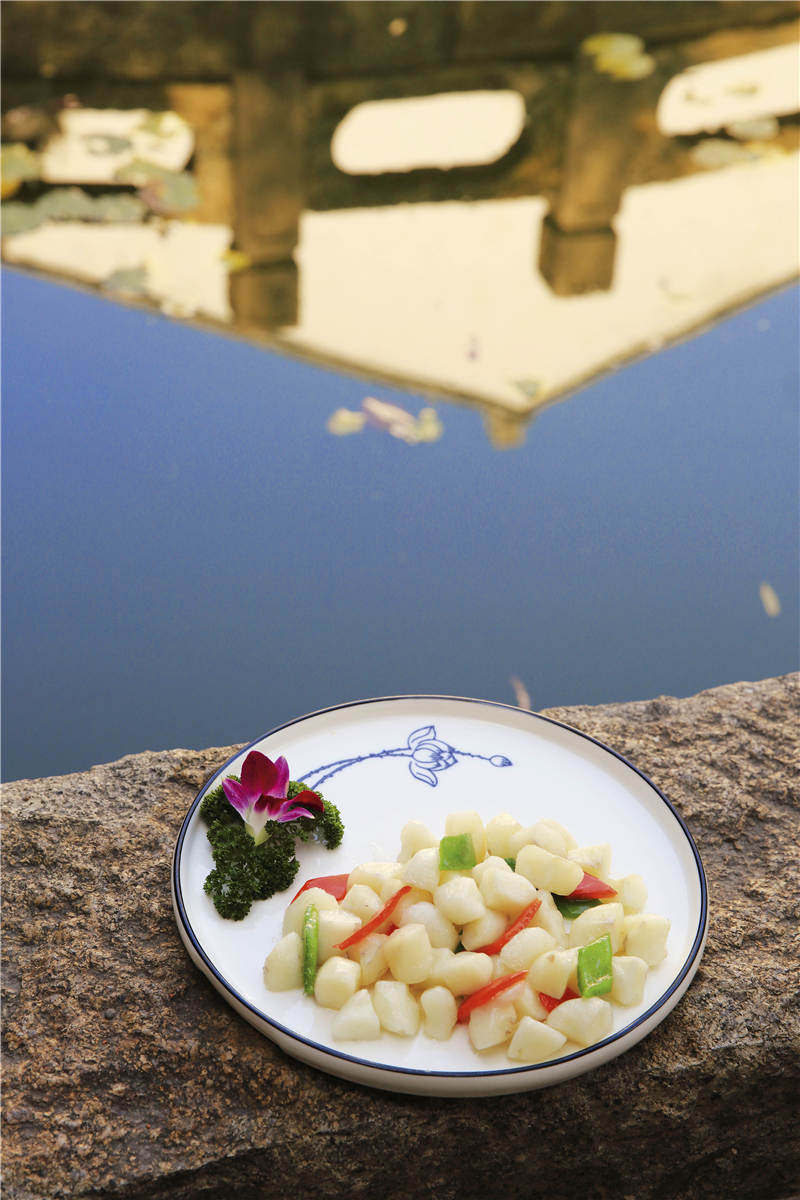 佛家戒荤含素菜吗,佛家说的戒荤戒哪些东西