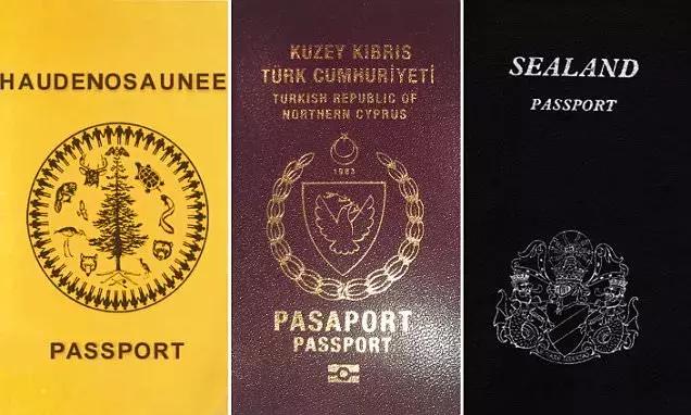 占着块荒地就敢建国？有*旗国**有宪法更有罪恶