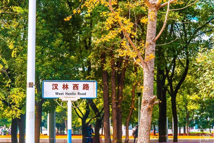 武汉必打卡排行榜,武汉十大打卡地