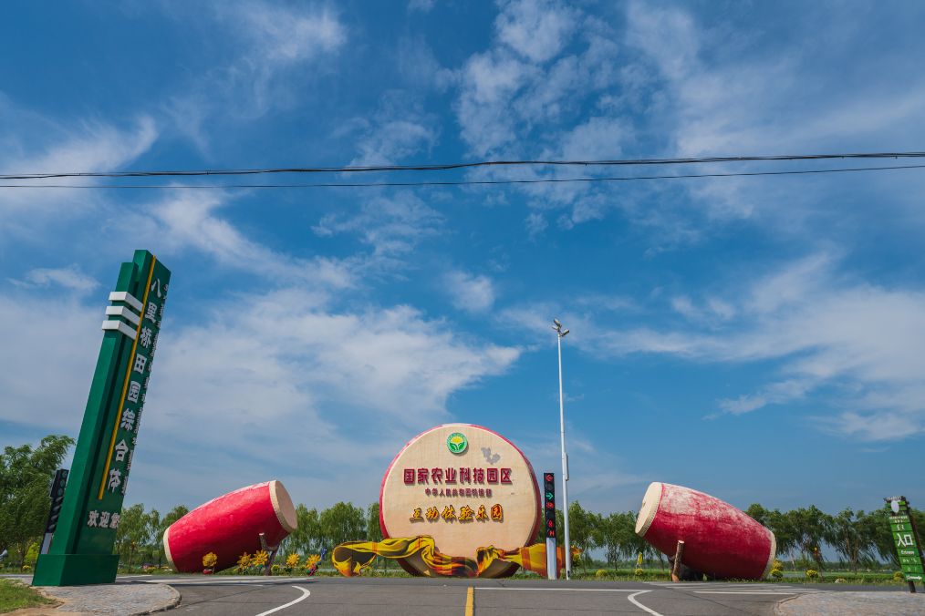 她是滔滔千里黄河的宠儿，阴山之下、河套之上的掌上明珠