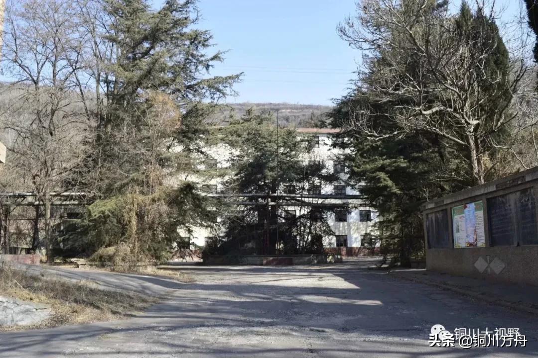 还记得当年啤酒的味道吗,铜川有什么啤酒品牌