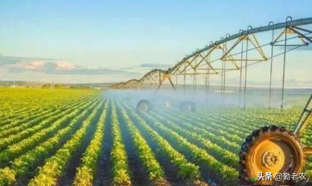 农业公司申请农业补贴找哪个部门,政策补贴农业项目怎么申请