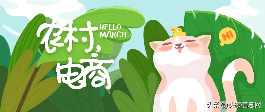 农村电商商业计划书范文完整版,互联网农村电商创业计划书ppt