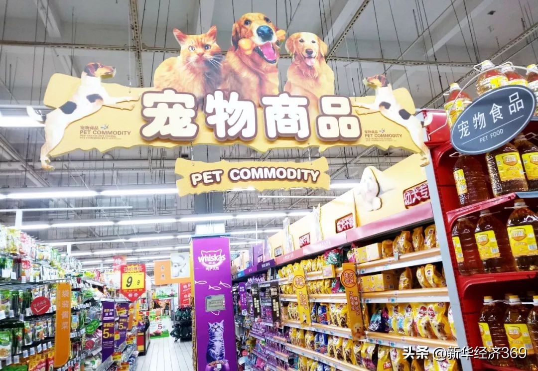 宠物店引爆门店的商业模式,宠物主题购物中心