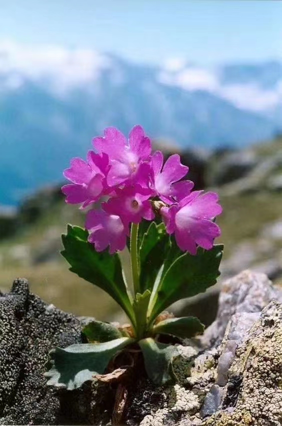 北京地区退休流程及注意事项,干部退休移交地方注意事项及禁忌