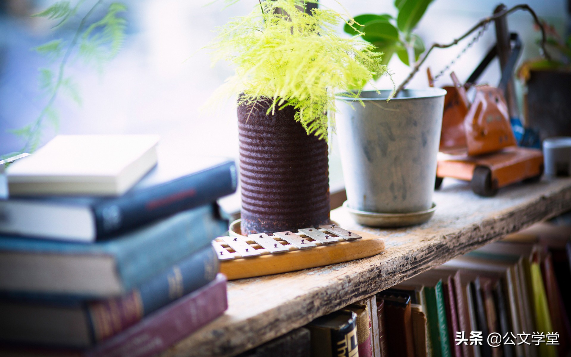 健康讲座主持词开场白和结束语,各种类型讲座主持词开场白分享