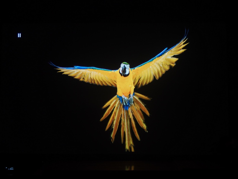 开博尔光纤hdmi2.1,开博尔hdmi和绿联hdmi哪个好