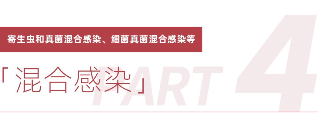 梅雨季节狗狗皮肤病怎么办,梅雨季猫癣症状