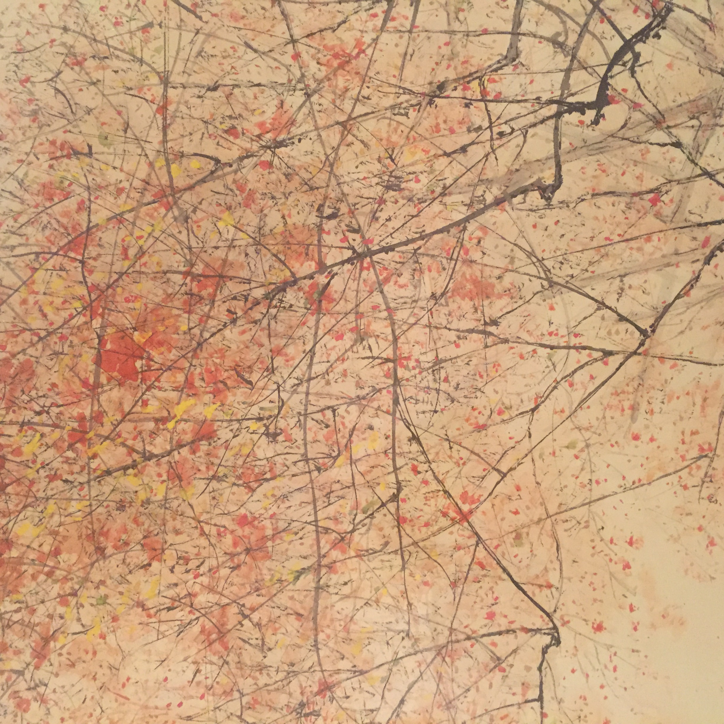 你对美的定义是什么,你心中的美