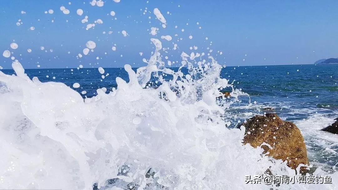 夏季晚上钓鱼突然停口是什么原因,夏天晚上钓鱼突然停口是什么原因