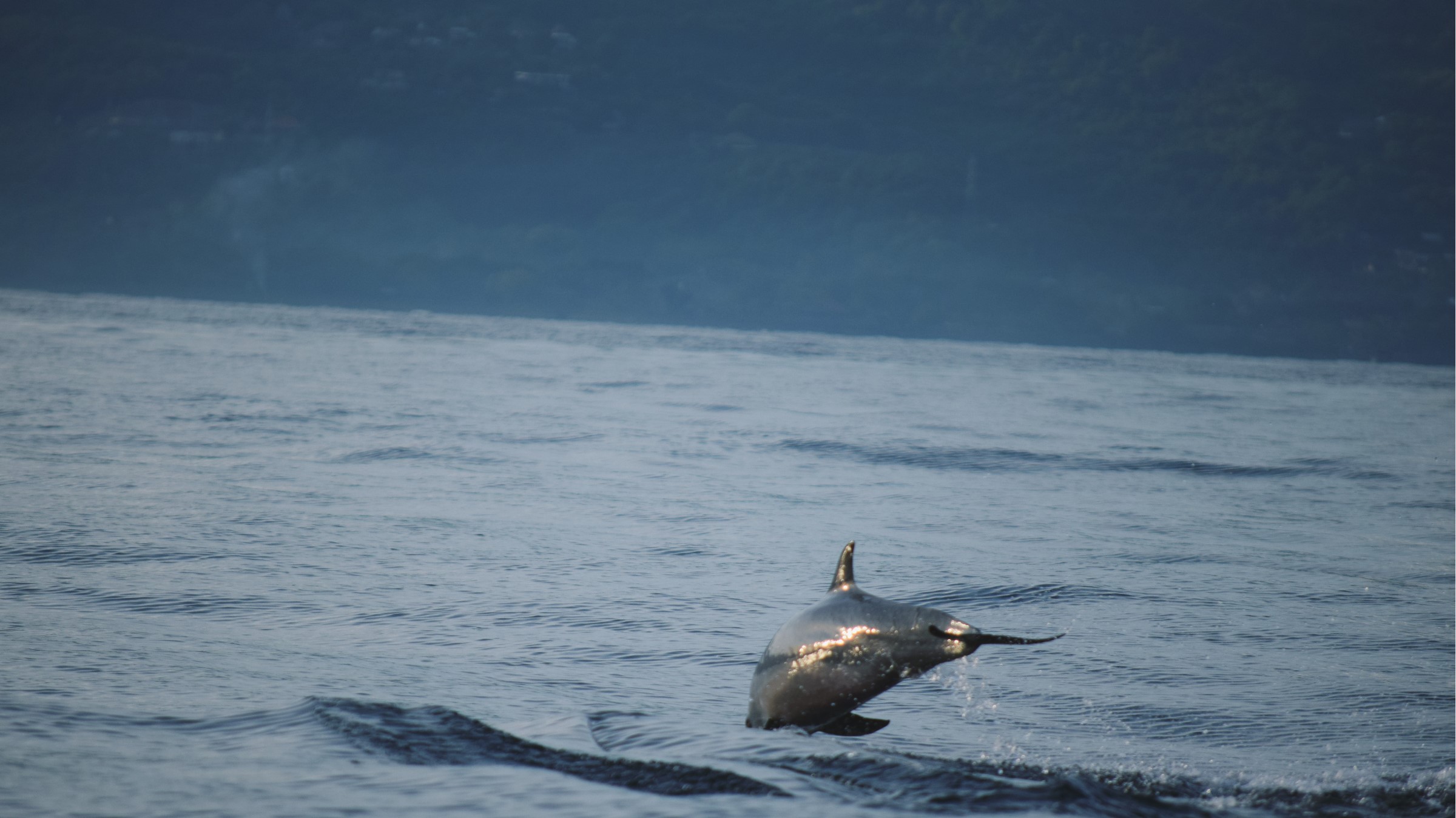 玩转巴厘岛攻略大全,巴厘岛值得去和不值得去