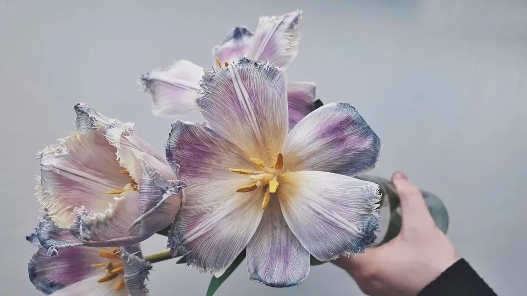 总是胡思乱想精神内耗吃点什么药,心理学经常胡思乱想是高内耗行为